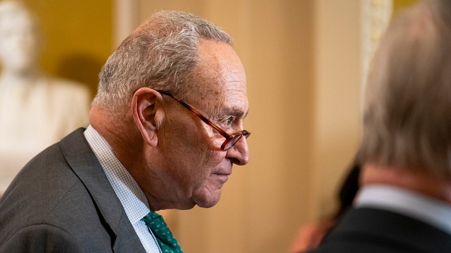 Activist Group Urges Schumer to Resign as Democratic Leader