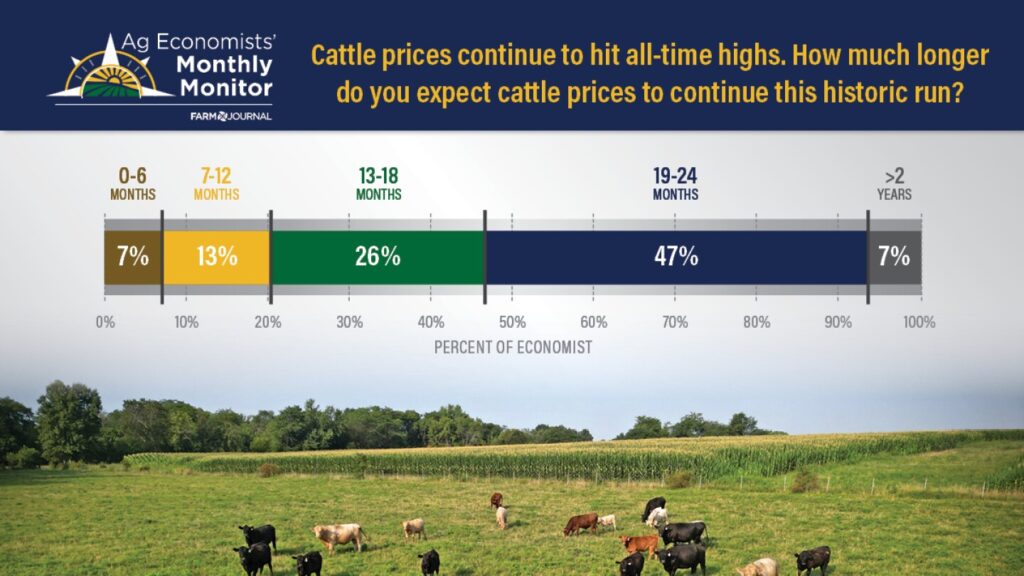 Beef prices expected to drop by 2026, says agriculture secretary