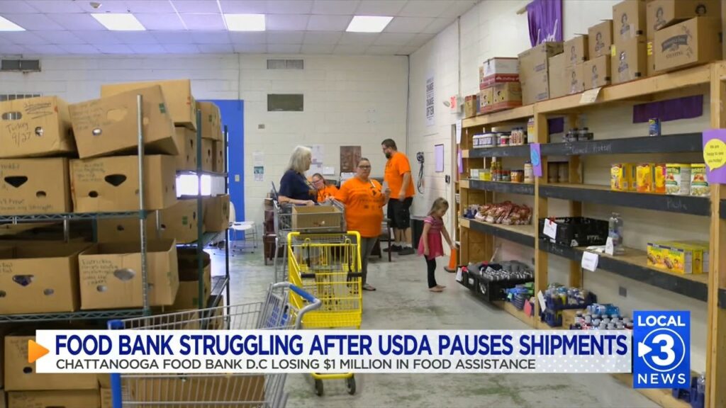 Over $500 million in food assistance used at fast food outlets
