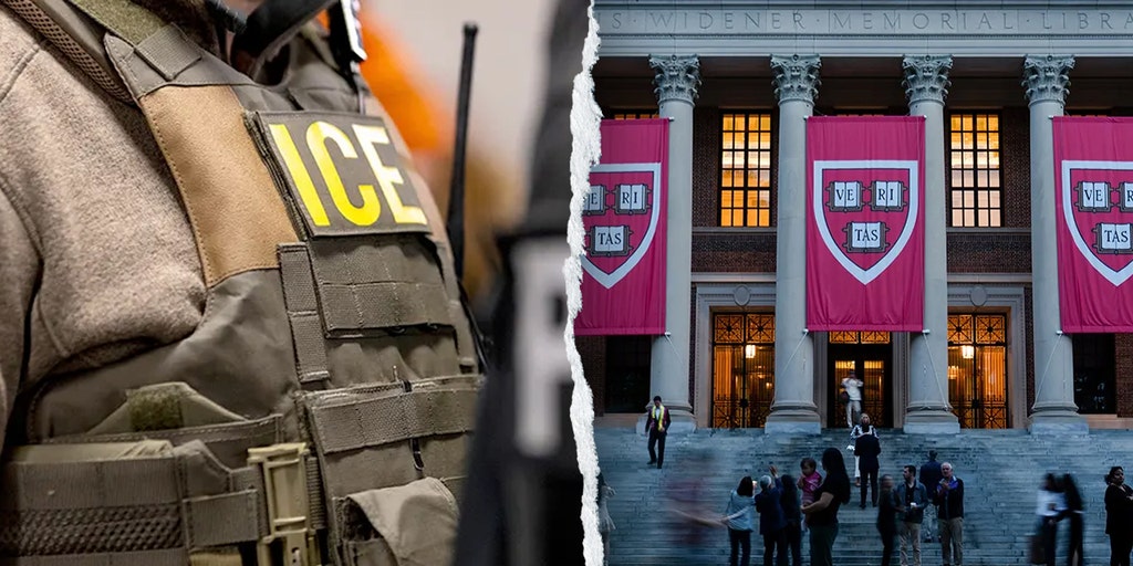Harvard professor detained after BB gun incident near synagogue