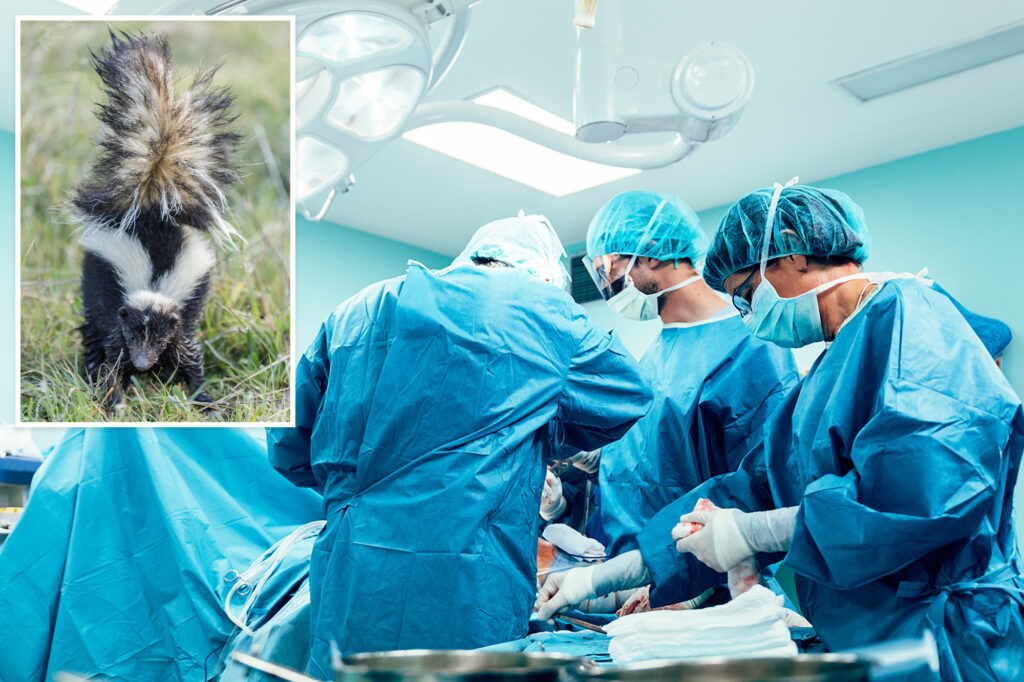 Man dies from rabies after kidney transplant from infected donor