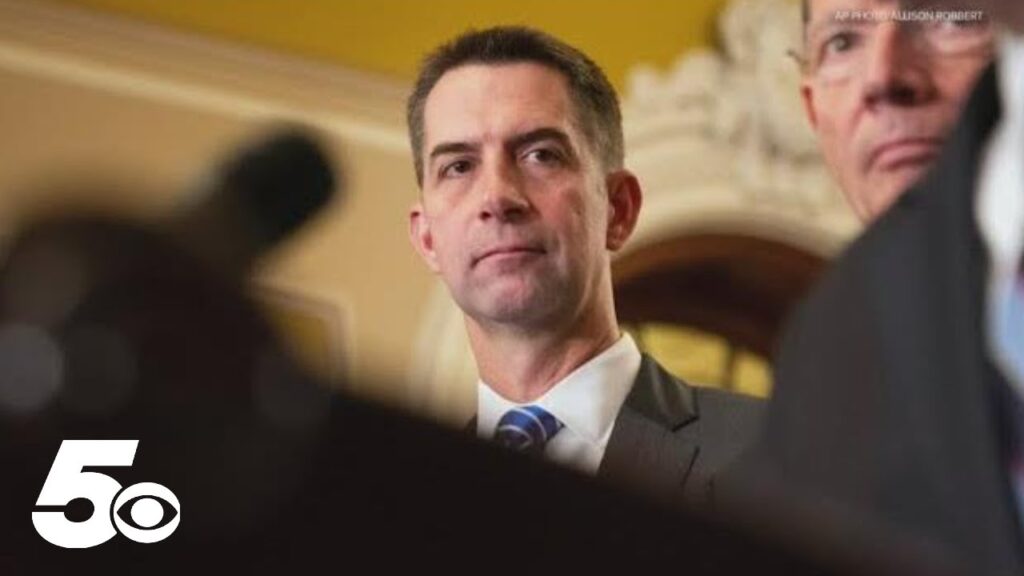 Senator Cotton calls for investigation into Shein and Temu over counterfeit claims
